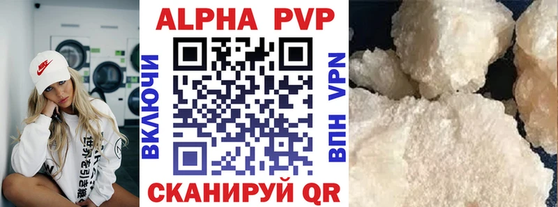A-PVP СК Сольвычегодск