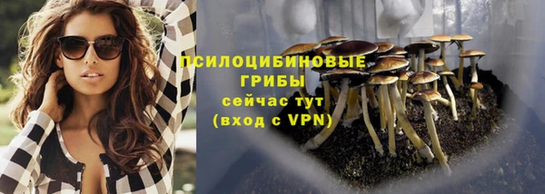 сатива Абаза