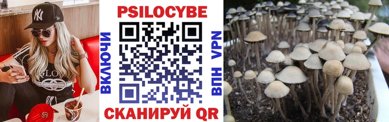 магазин    даркнет формула  Псилоцибиновые грибы Magic Shrooms  Сольвычегодск 